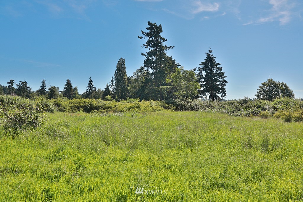 2890 Hunt Road Oak Harbor, WA 98277 - Photo 21 of 23 Gallery Image 21