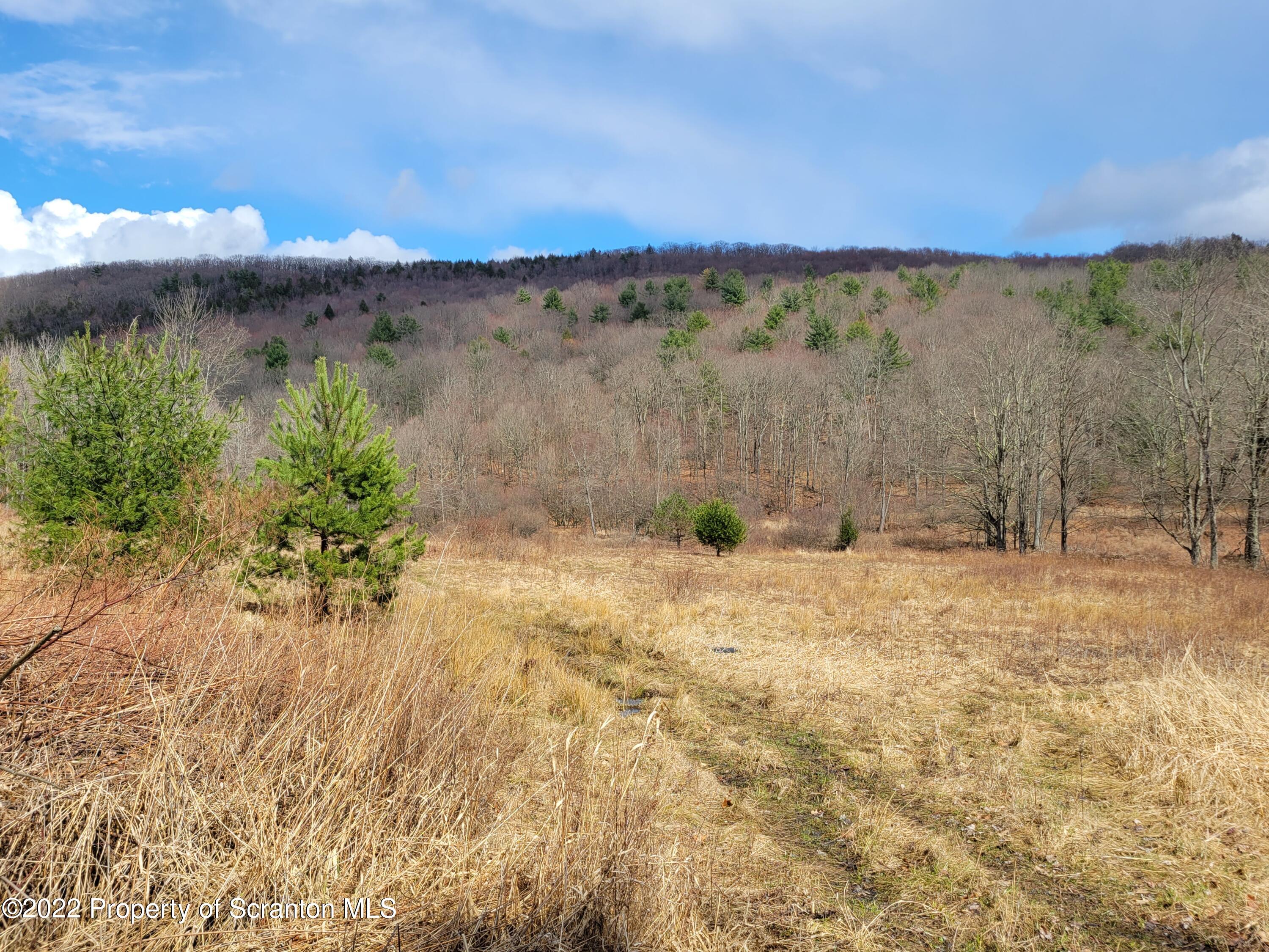 786 Steam Hollow Road Hallstead, PA 18822 - Photo 1 of 10 20220409_144152
