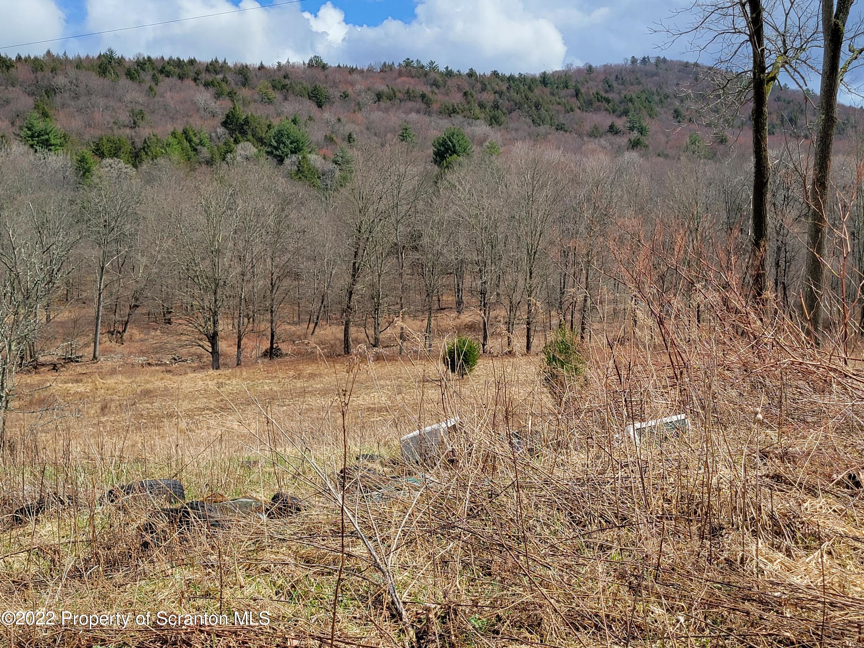 786 Steam Hollow Road Hallstead, PA 18822 - Photo 3 of 10 20220409_144032