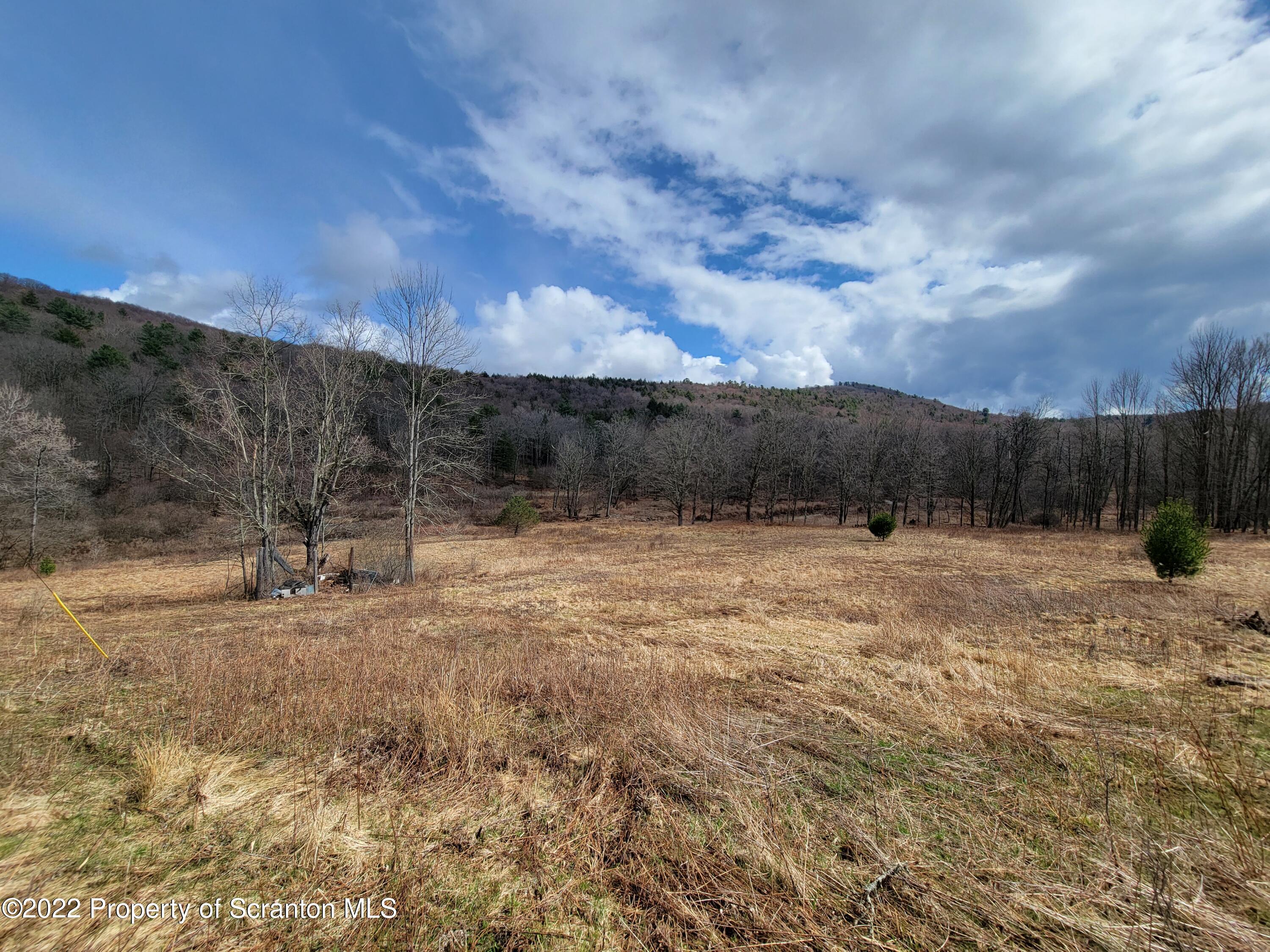 786 Steam Hollow Road Hallstead, PA 18822 - Photo 8 of 10 20220409_143734