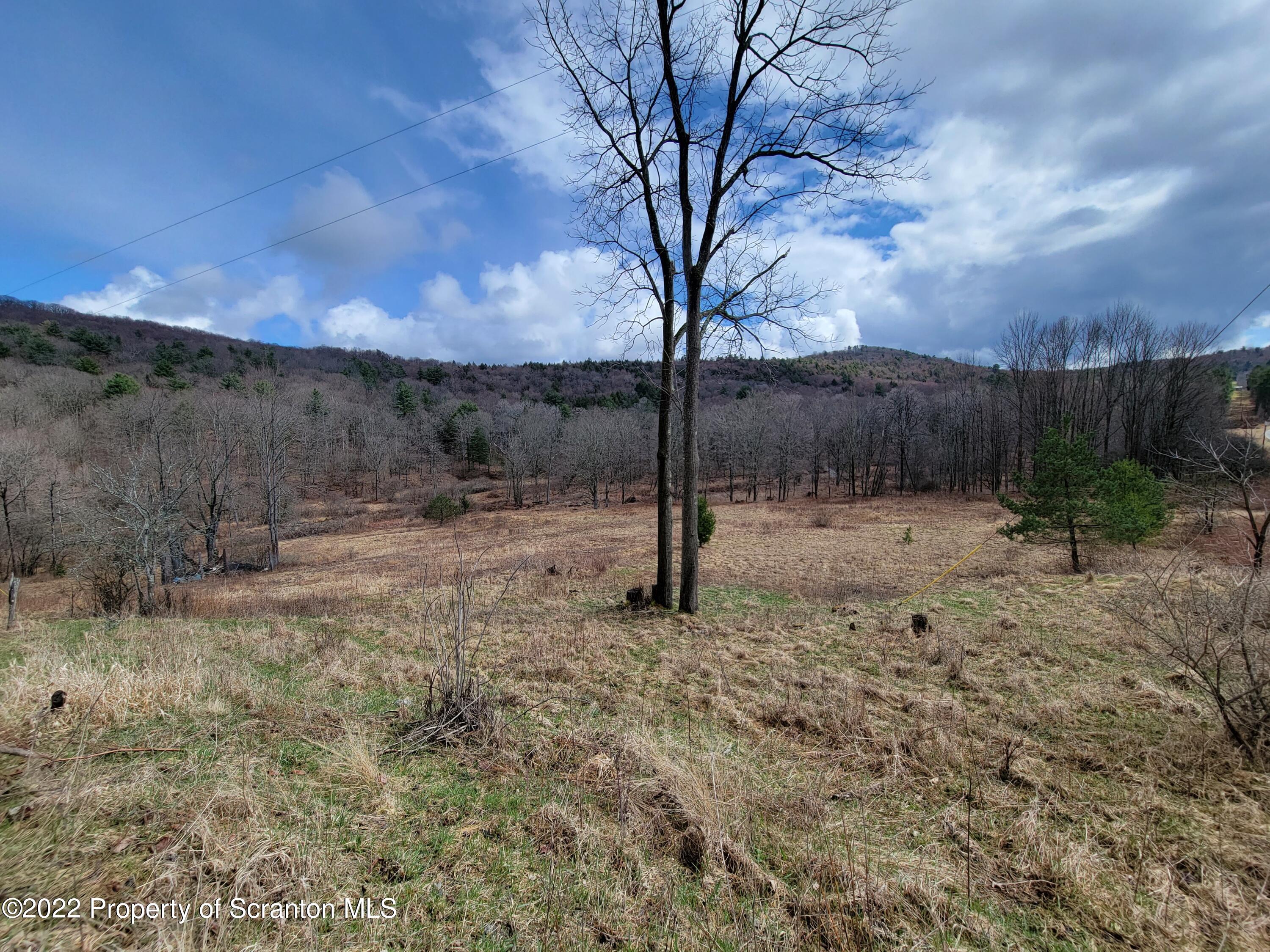 786 Steam Hollow Road Hallstead, PA 18822 - Photo 9 of 10 20220409_143641