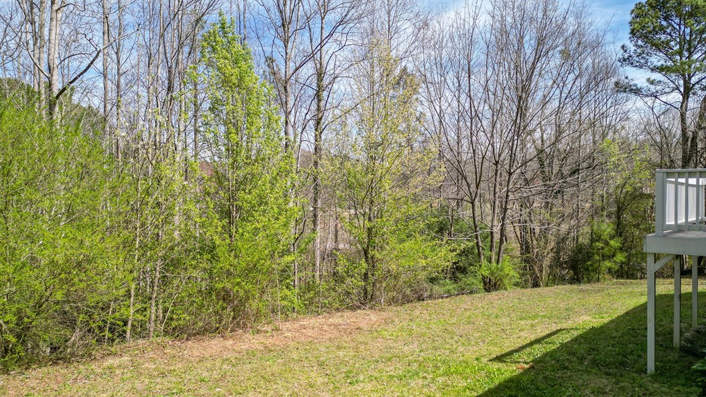 3655 Ball Ground Road Ball Ground, GA 30107 - Photo 17 of 44 Gallery Image 17