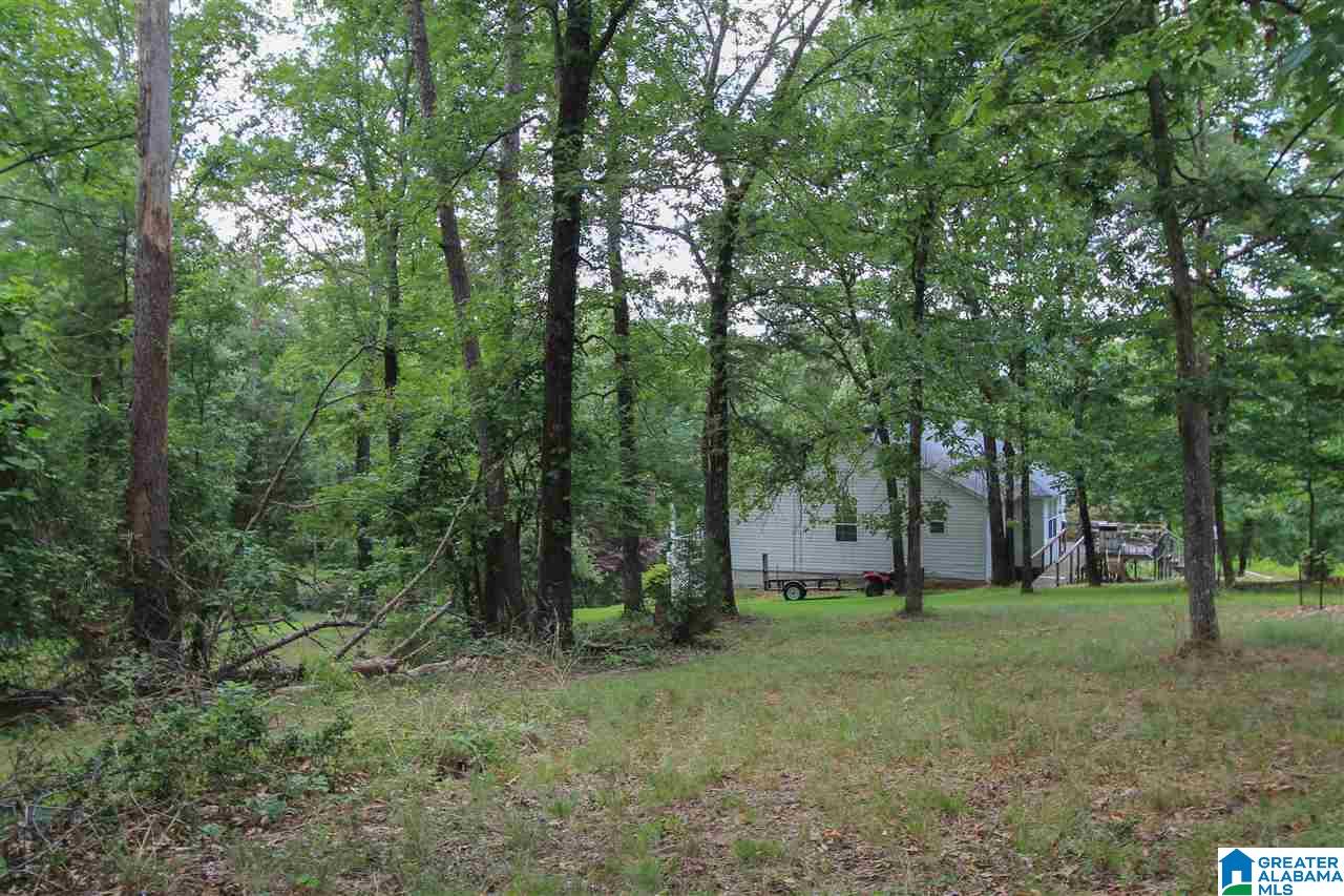 331 Powell Road Remlap, AL 35133 - Photo 33 of 47 Gallery Image 33