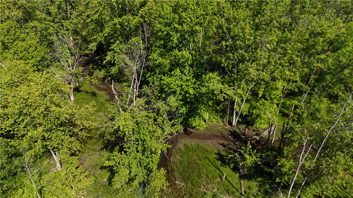 Dredge Ditch Road Conewango Valley, NY 14726 - Photo 15 of 21