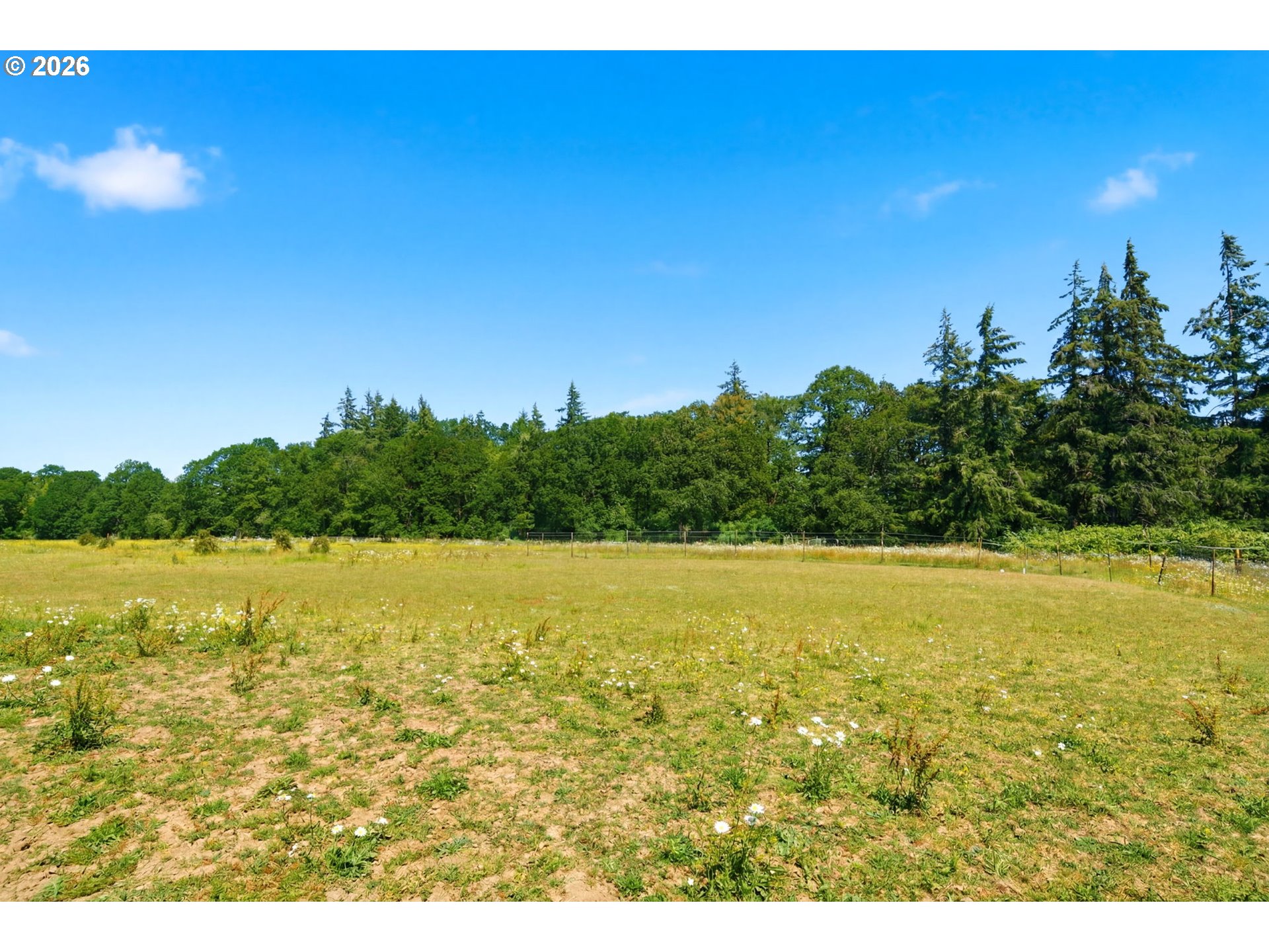 28515 Northwest 51st Avenue Ridgefield, WA 98642 - Photo 47 of 48