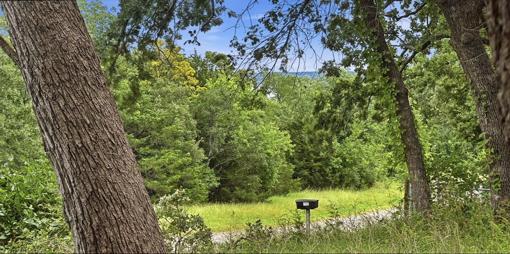 945 Lake Road Gordonville, TX 76245 - Photo 18 of 23 Lake Texoma is visible thru the trees