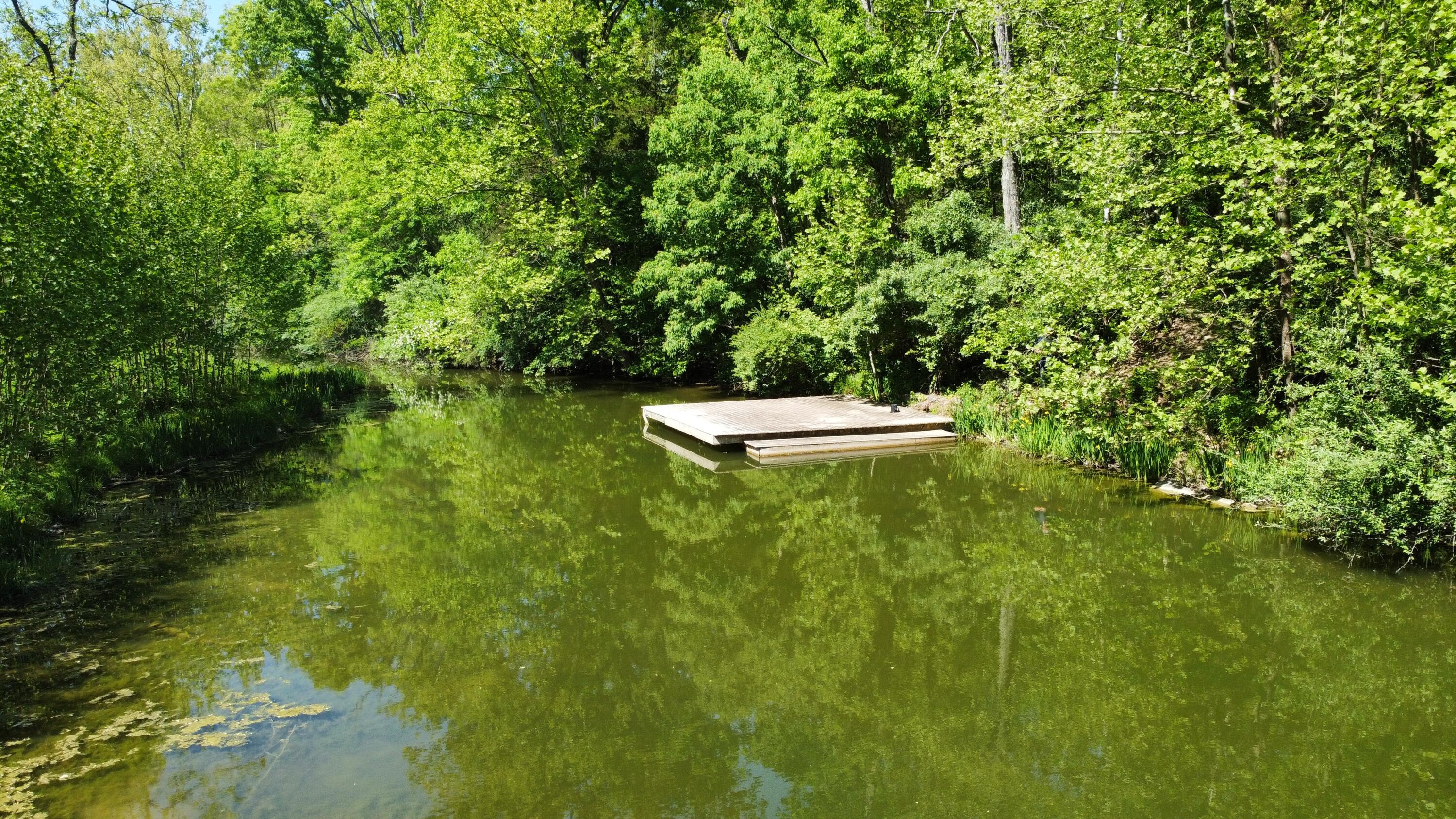 398 Elk Lake Resort Road Owenton, KY 40359 - Photo 6 of 10