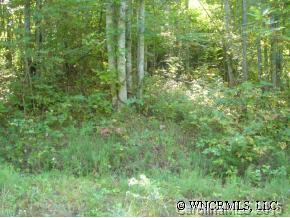 11 Elliott Loop Bakersville, NC 28705 - Photo 2 of 8 Gallery Image 2