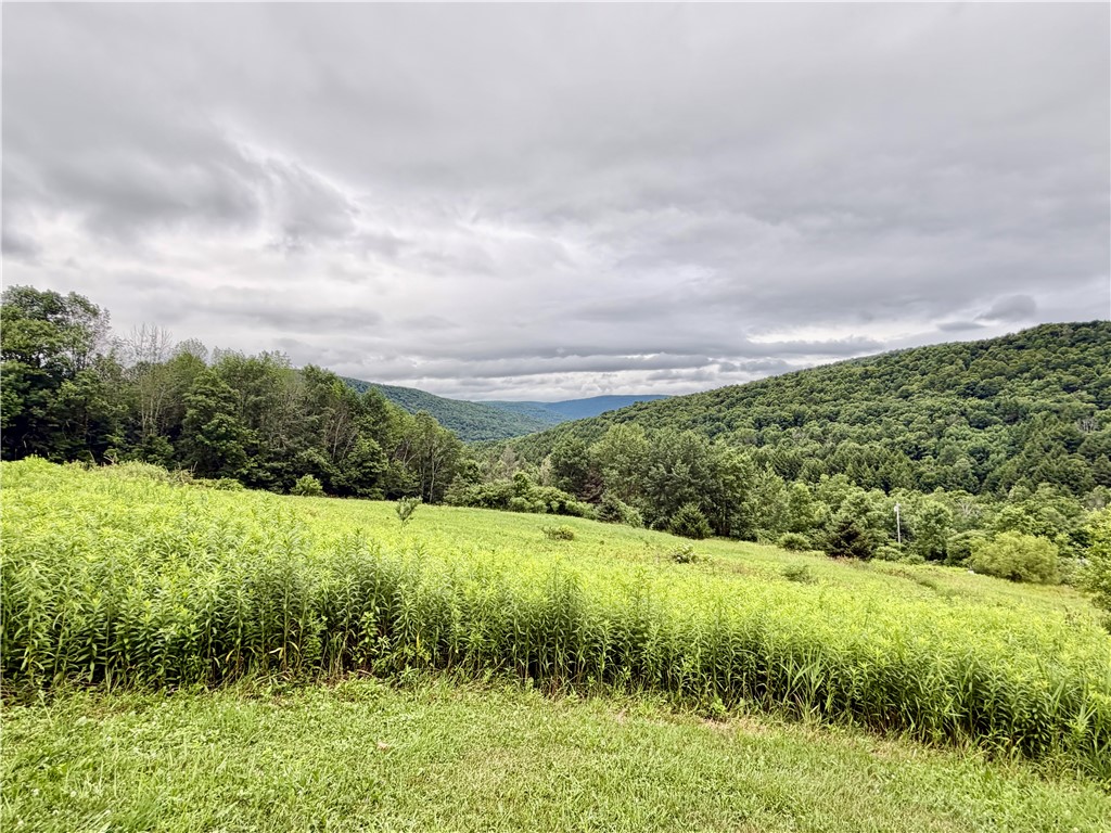 1052 County Highway Walton, NY 13856 - Photo 44 of 48