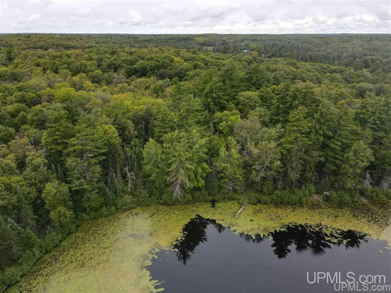 Tbd Tbd Grace Lake Road Watersmeet, MI 49969 - Photo 2 of 16
