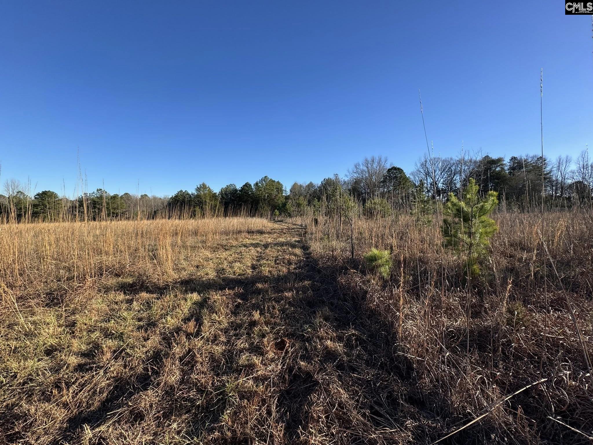 150 Floyd Lanford Road Woodruff, SC 29388 - Photo 23 of 65