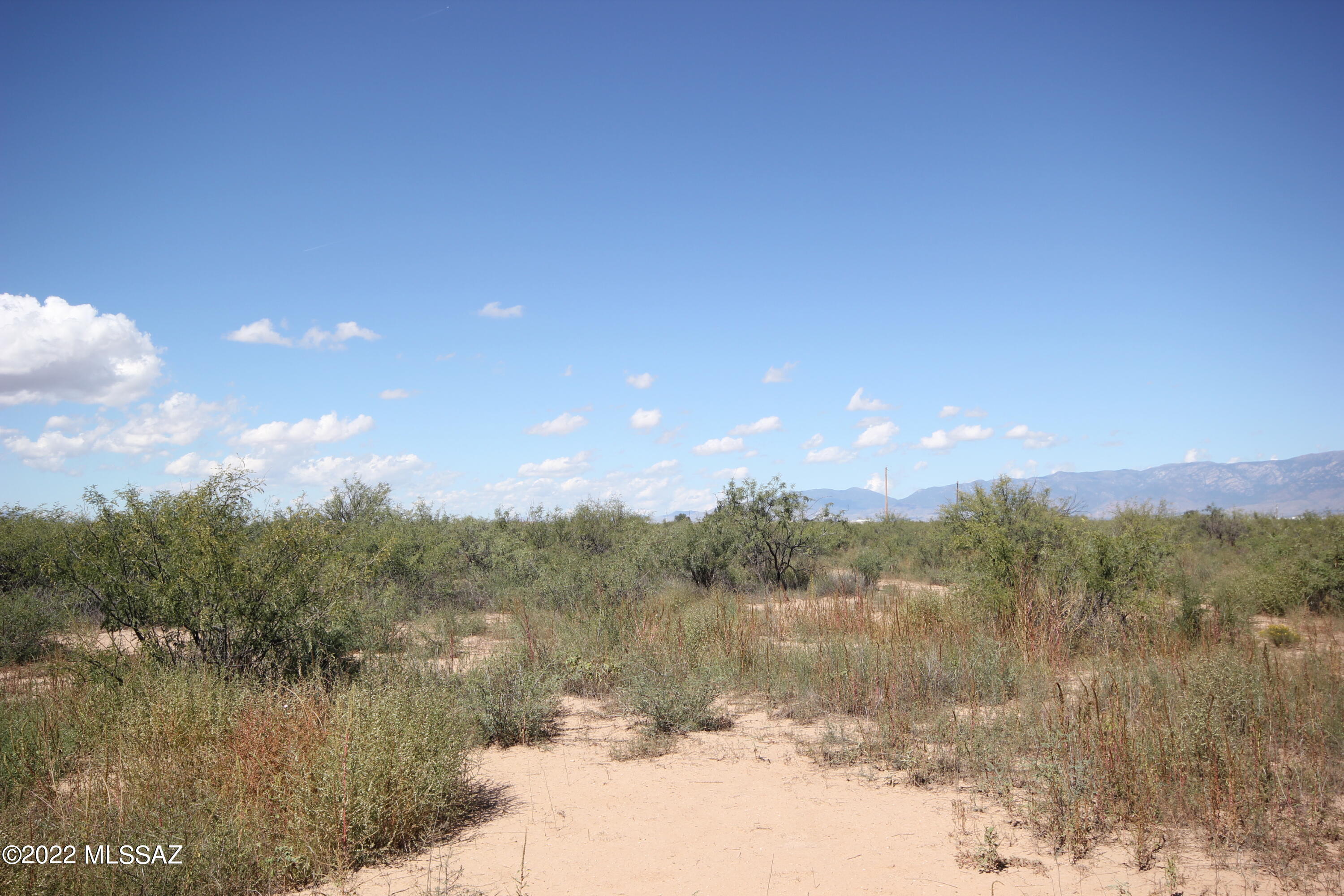 Mendoza Road Willcox, AZ 85643 - Photo 3 of 8 Gallery Image 3