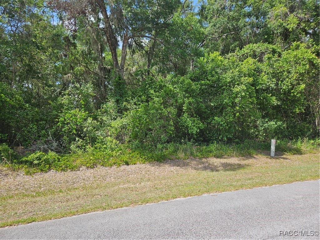 2828 East Chartwell Circle Hernando, FL 34442 - Photo 3 of 17