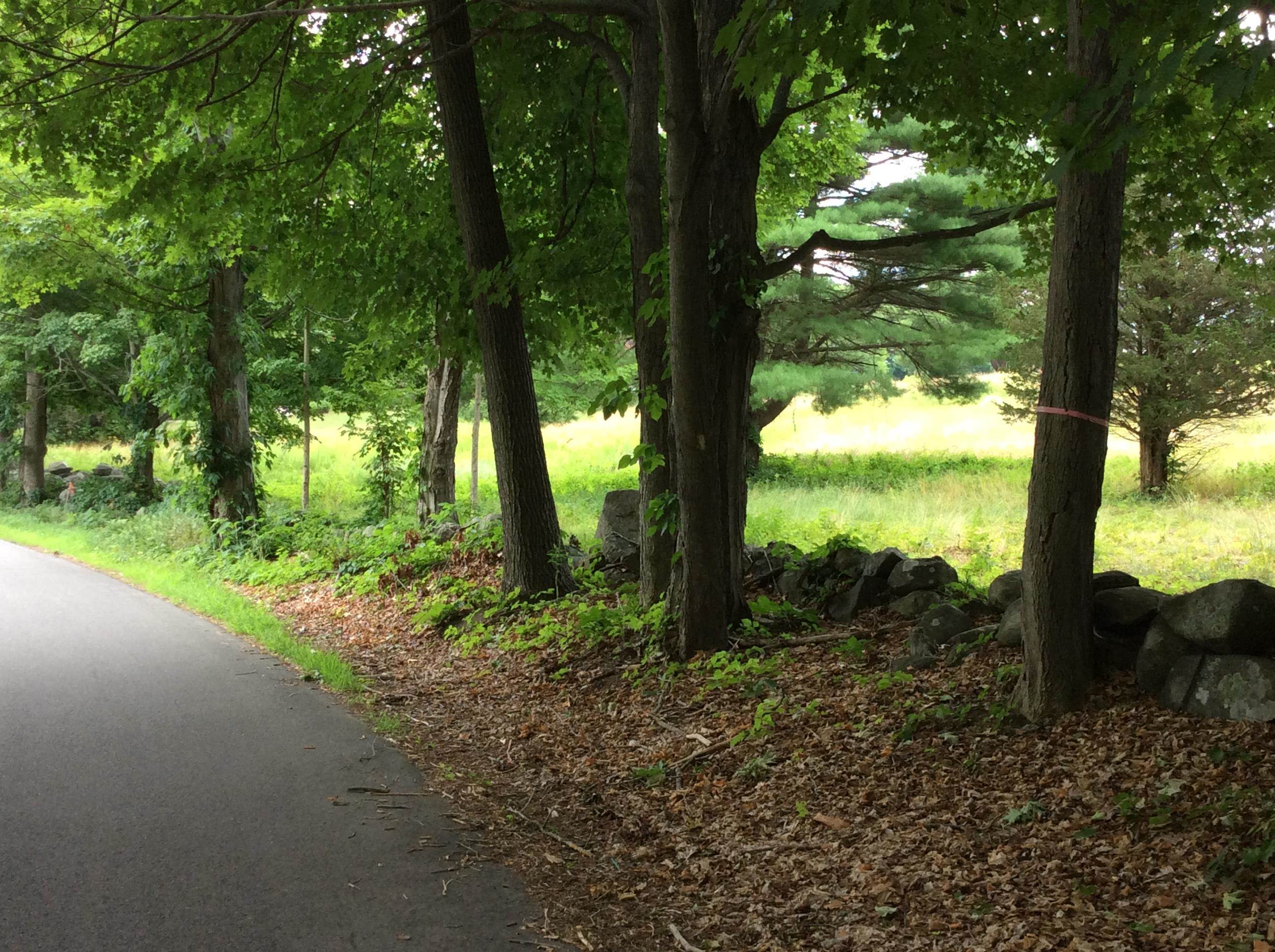 55 Powder Mill Road Exeter, NH 03833 - Photo 8 of 9