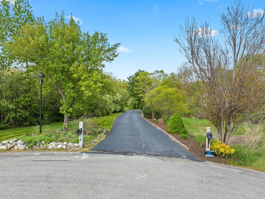 203 Richie Road Attleboro, MA 02703 - Photo 2 of 42 a view of a street with a trees