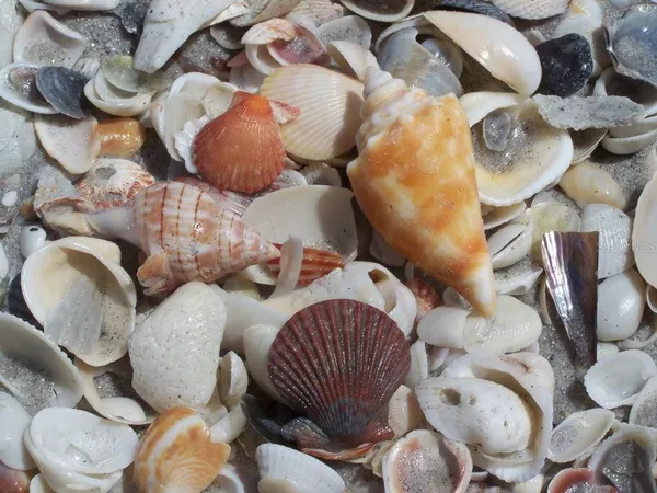 a view of a room with a fan