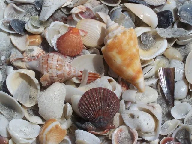 $1,160,000 | 19 Lemon Bay Lane, Placida, FL 33946