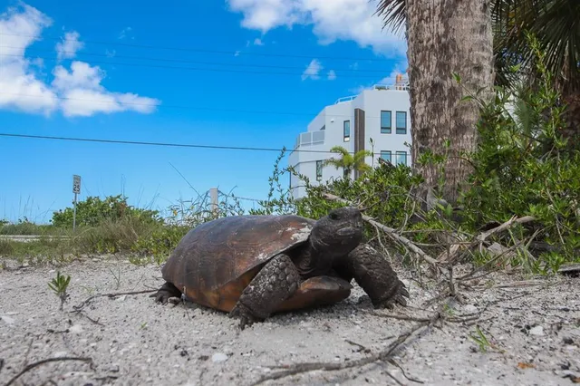 $1,160,000 | 19 Lemon Bay Lane, Placida, FL 33946