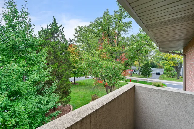 $1,199,999 | 807 Hitchcock Avenue, Lisle, IL 60532