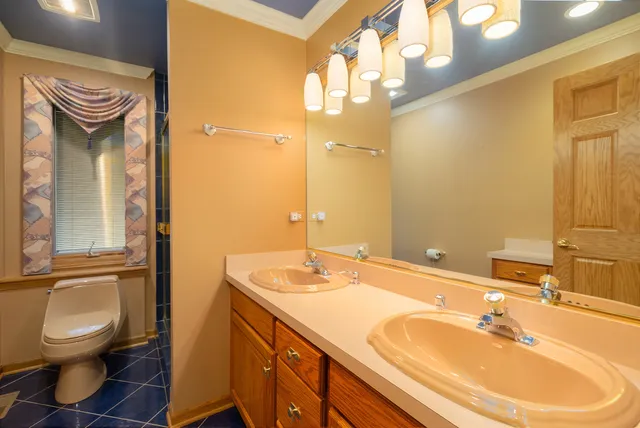 $1,199,999 | 807 Hitchcock Avenue, Lisle, IL 60532