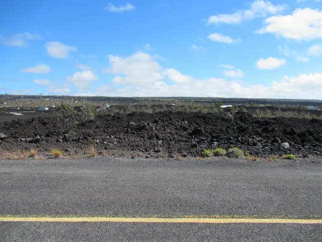 a view of a dry yard with wooden fence