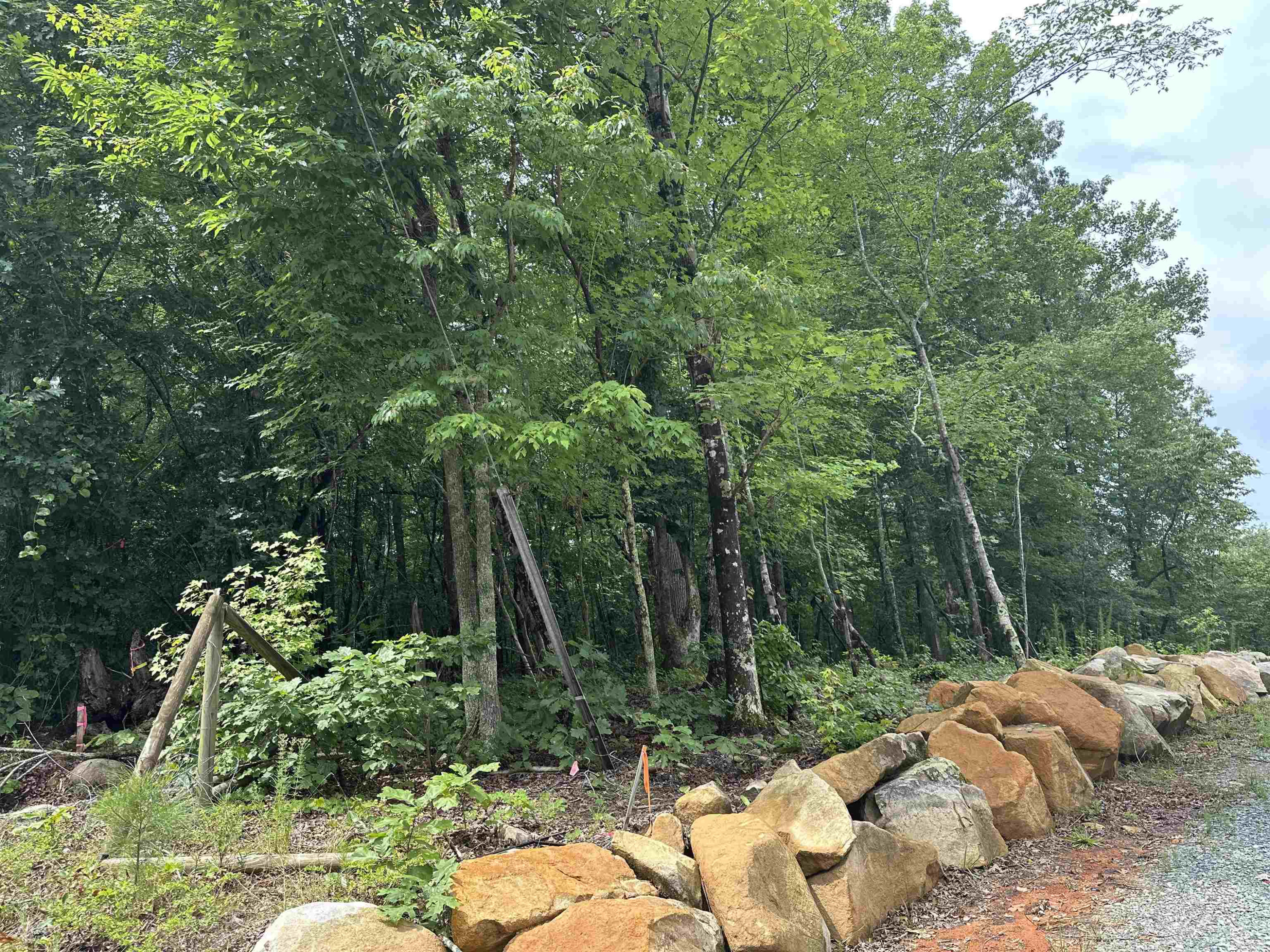 0 Moore Mountain Road Pittsboro, NC 27312 - Photo 11 of 13 Photo 11