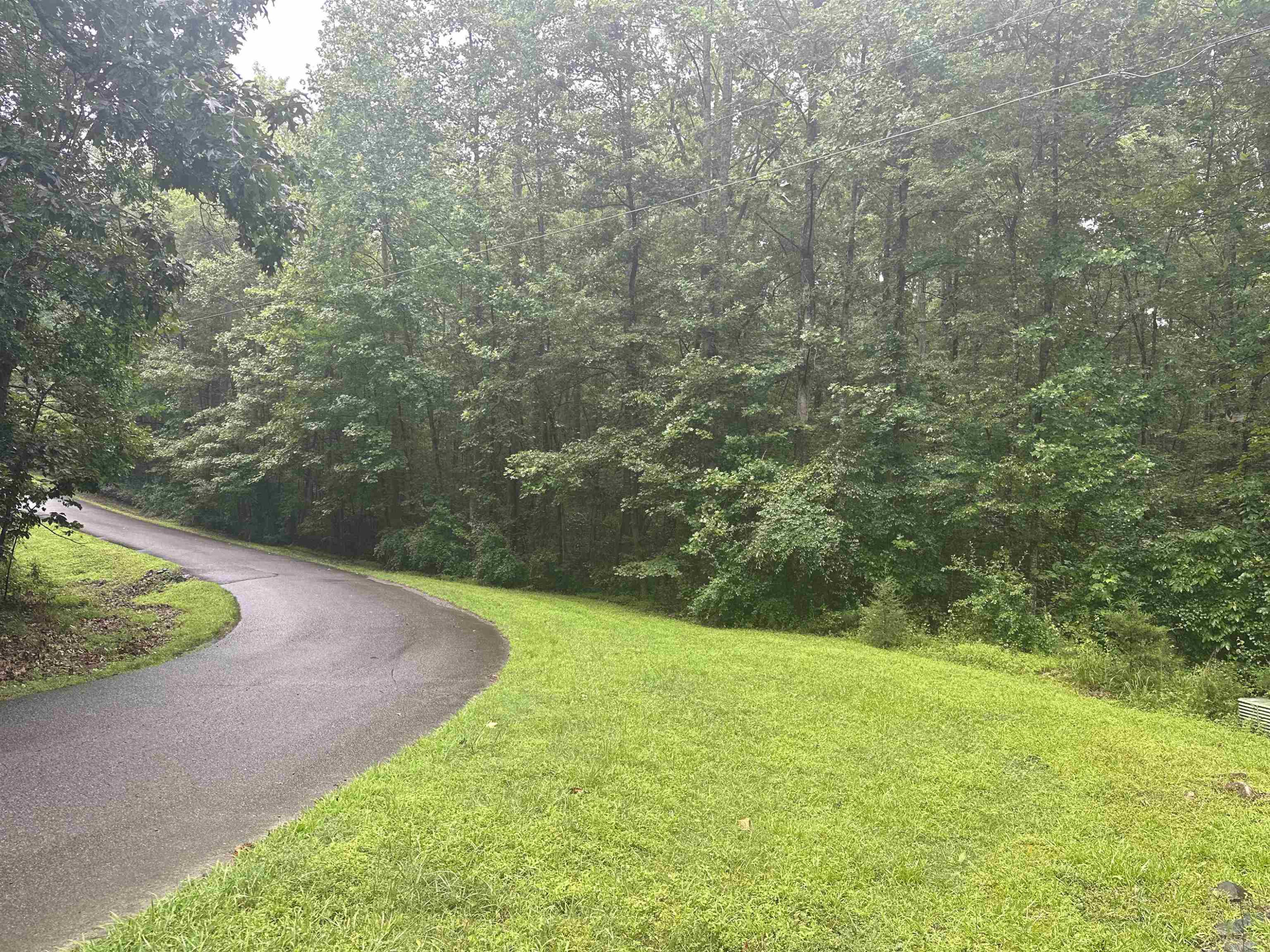 0 Moore Mountain Road Pittsboro, NC 27312 - Photo 12 of 13 Photo 12