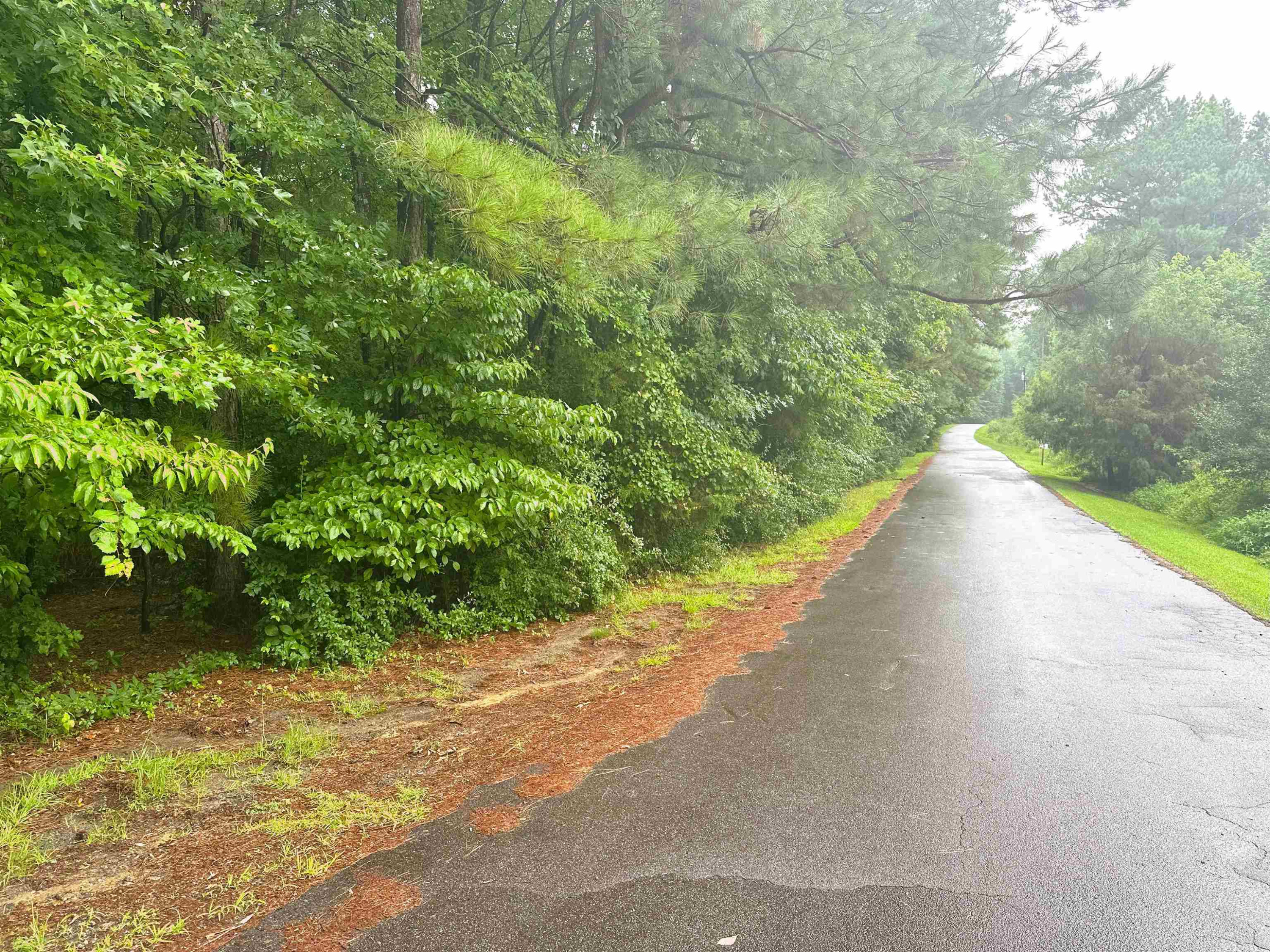 0 Moore Mountain Road Pittsboro, NC 27312 - Photo 13 of 13 Photo 13