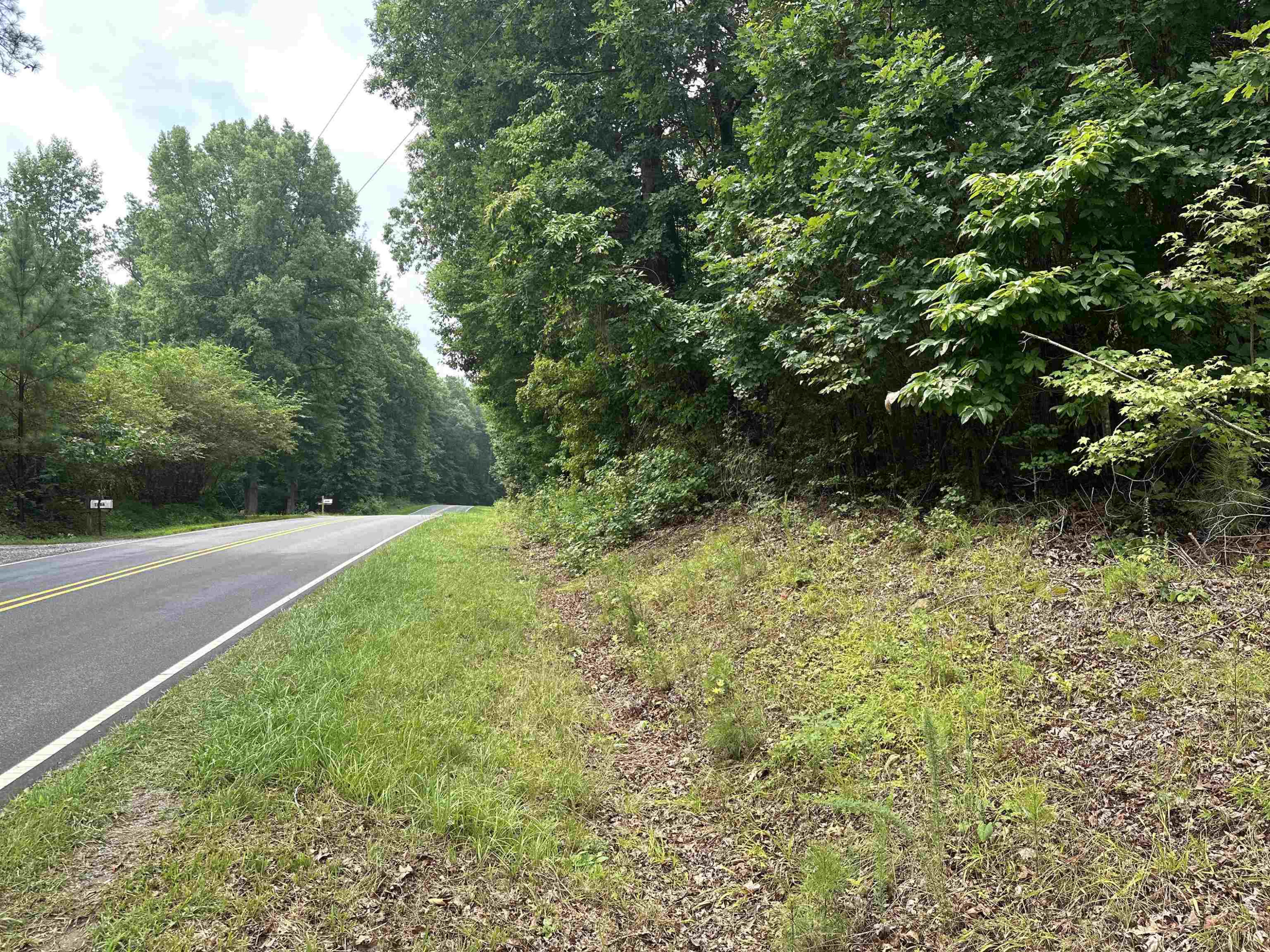 0 Moore Mountain Road Pittsboro, NC 27312 - Photo 2 of 13 Photo 2