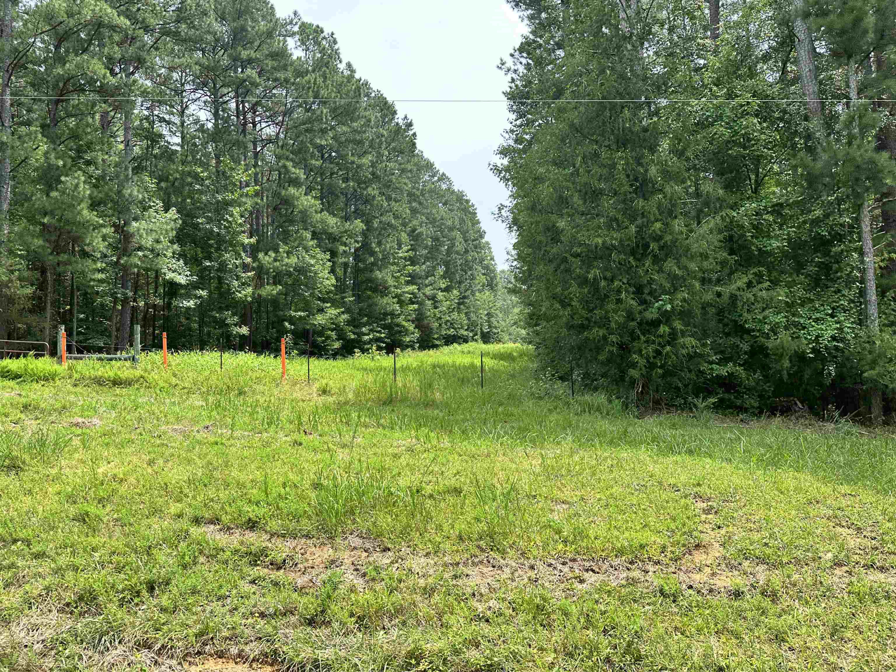 0 Moore Mountain Road Pittsboro, NC 27312 - Photo 3 of 13 Photo 3