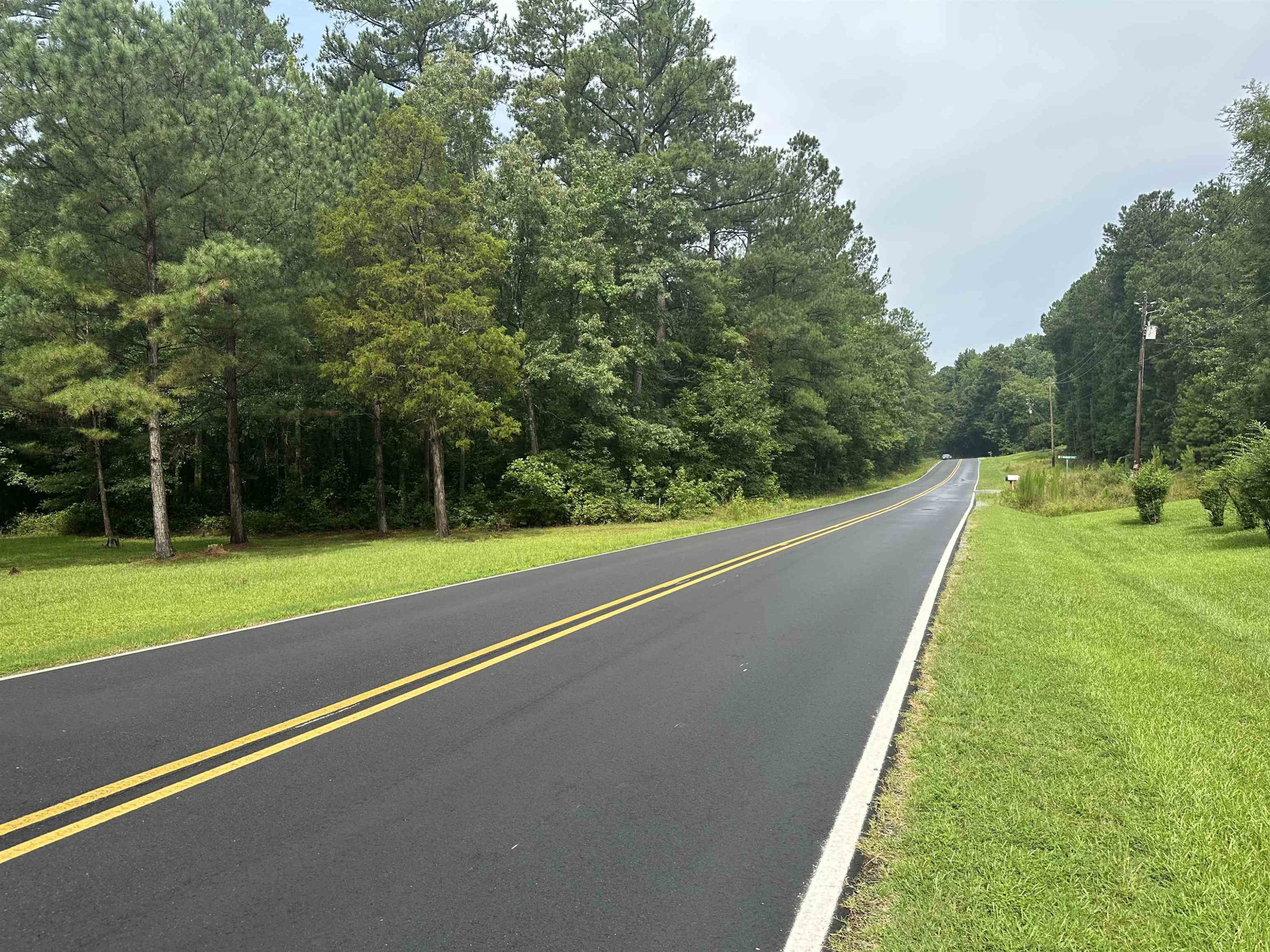 0 Moore Mountain Road Pittsboro, NC 27312 - Photo 4 of 13 Photo 4