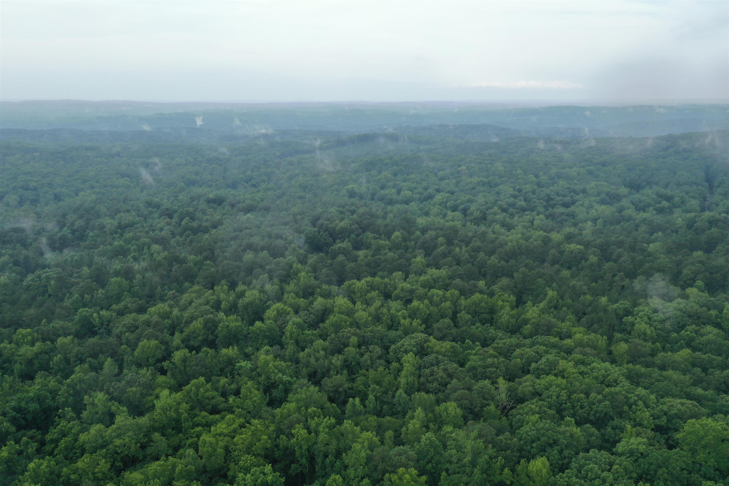 0 Moore Mountain Road Pittsboro, NC 27312 - Photo 5 of 13 Photo 5