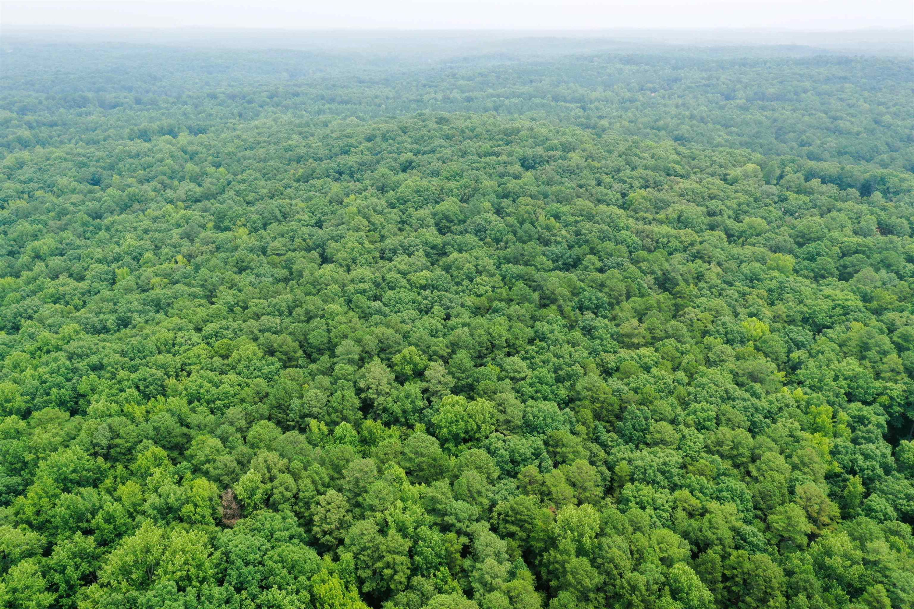 0 Moore Mountain Road Pittsboro, NC 27312 - Photo 7 of 13 Photo 7