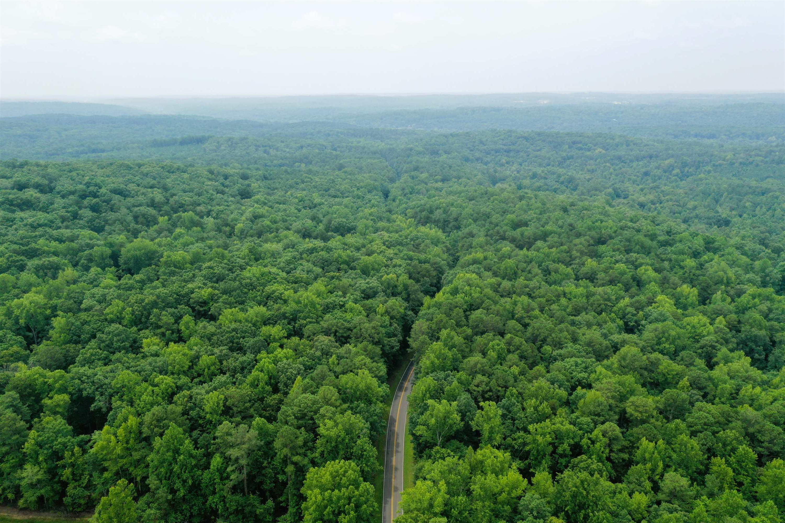 0 Moore Mountain Road Pittsboro, NC 27312 - Photo 8 of 13 Photo 8