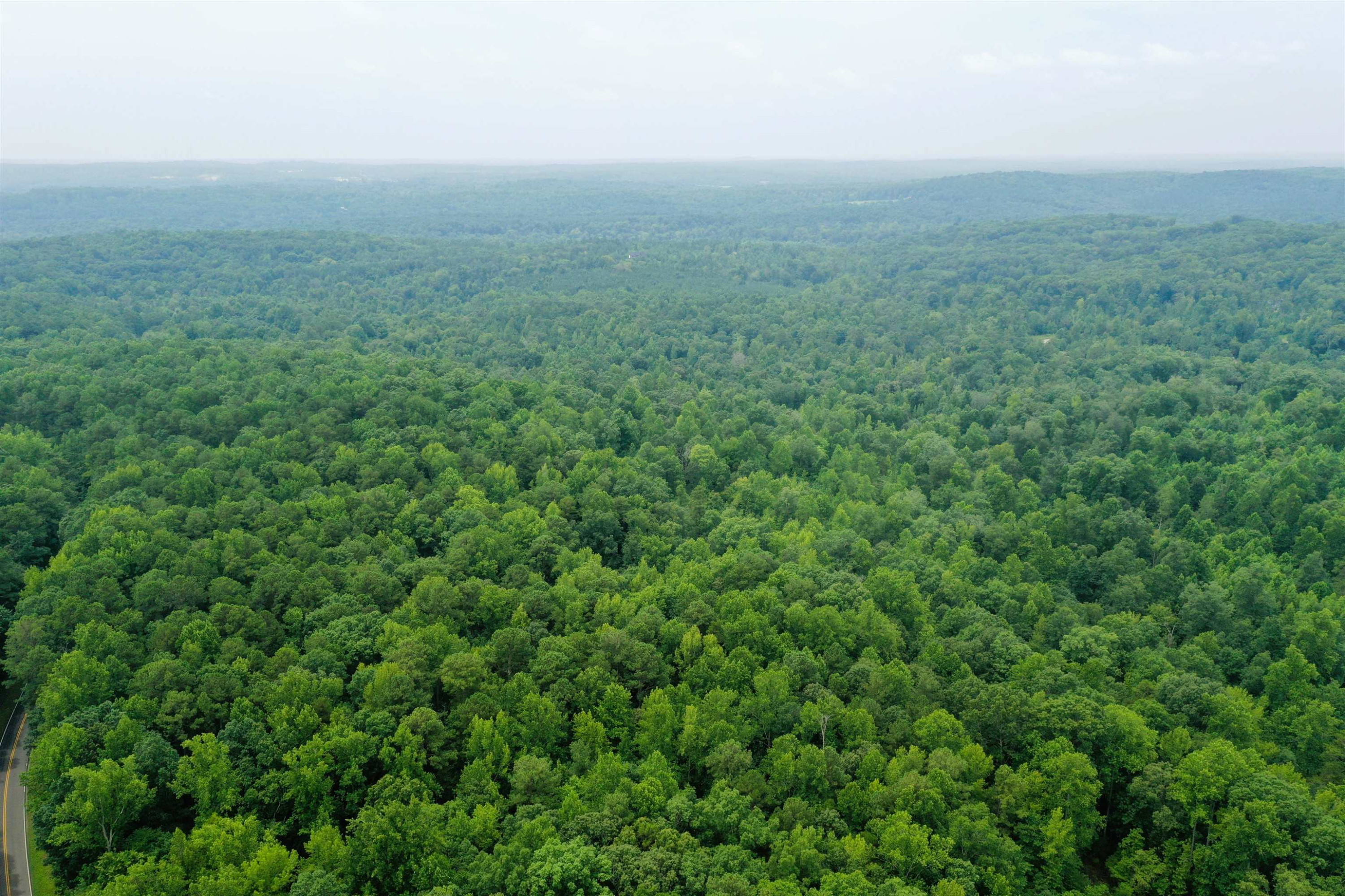 0 Moore Mountain Road Pittsboro, NC 27312 - Photo 9 of 13 Photo 9