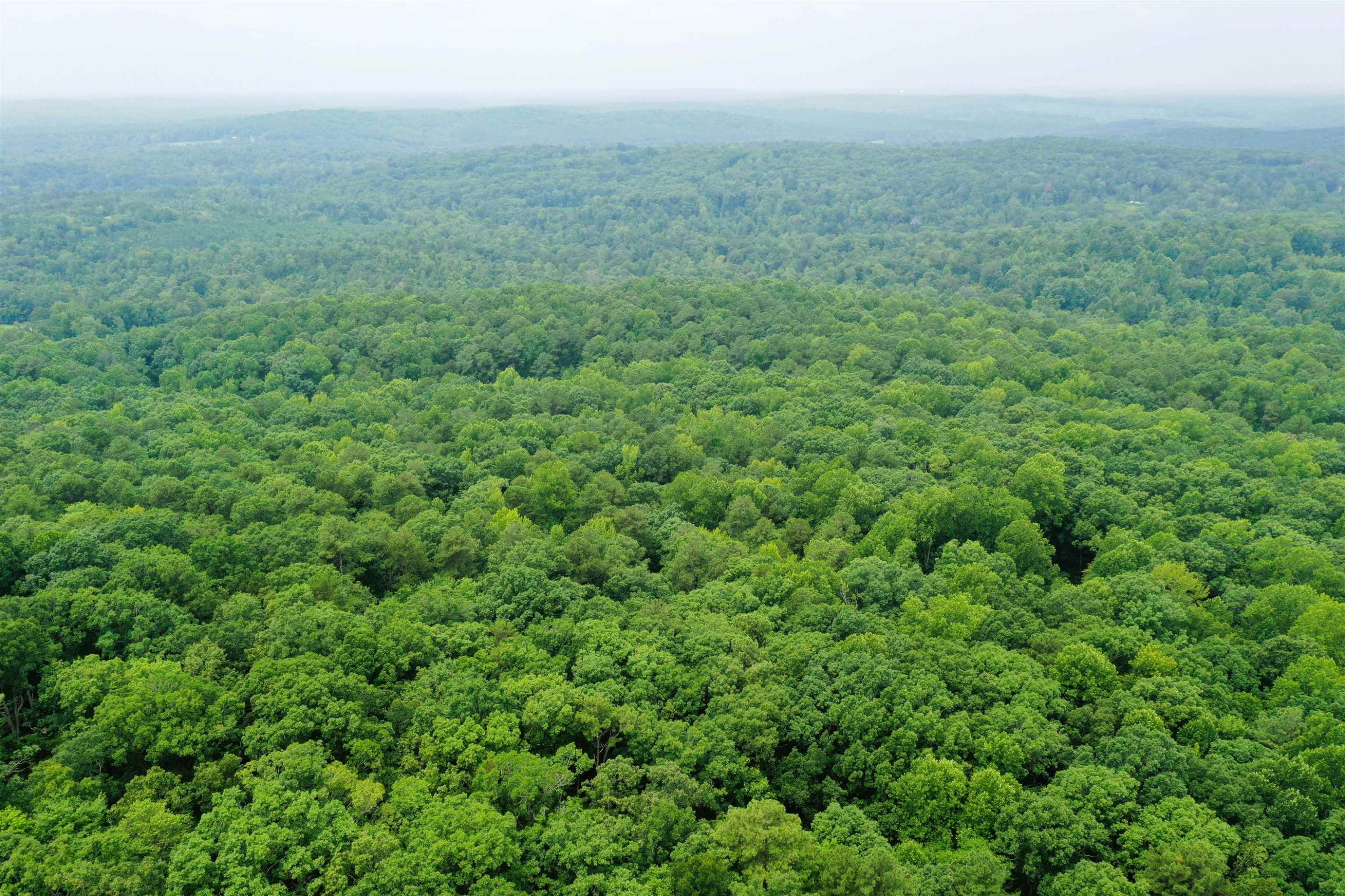 0 Moore Mountain Road Pittsboro, NC 27312 - Photo 10 of 13 Photo 10