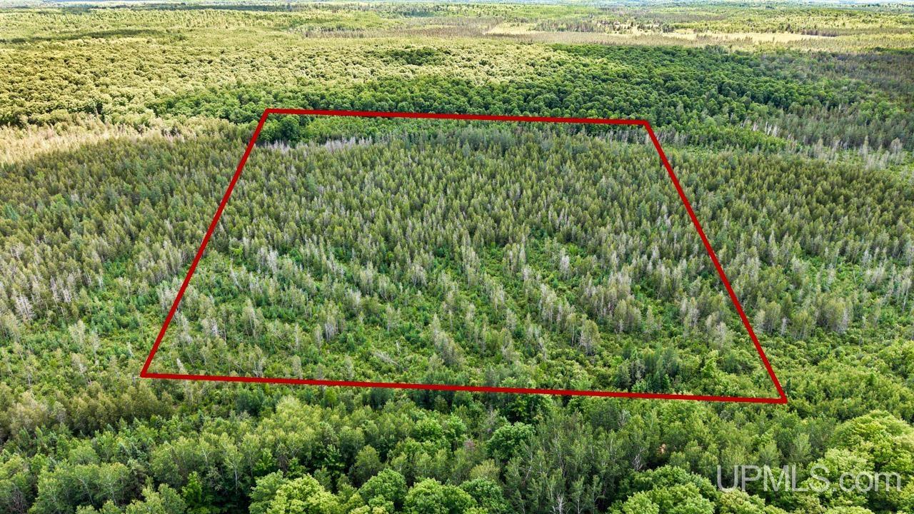 1188 Northwest South Ross Wells Road Felch, MI 49831 - Photo 14 of 14