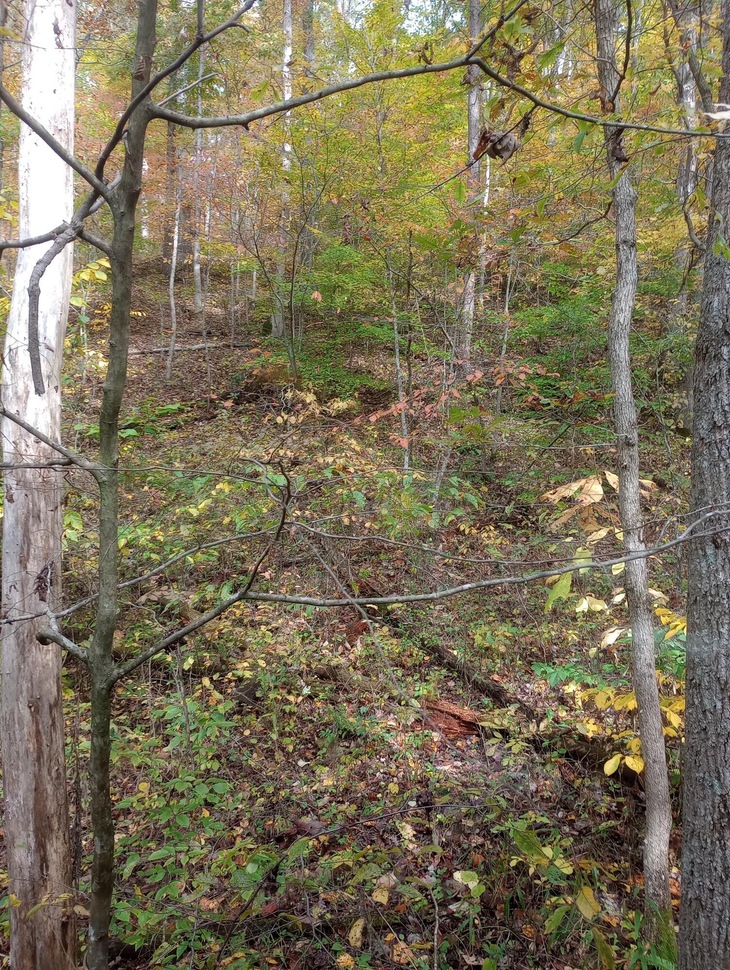 0 Ervin Hollow Road Jackson, OH 45640 - Photo 5 of 7 Erwin Hollow Road 3