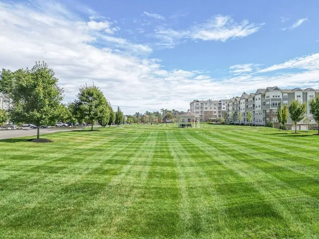 a view of a green field