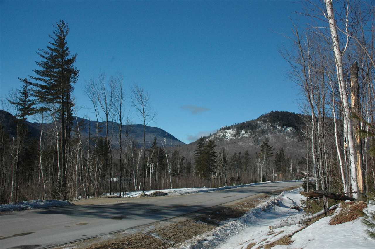 47 Parker Ridge Road Bartlett, NH 03838 - Photo 2 of 6