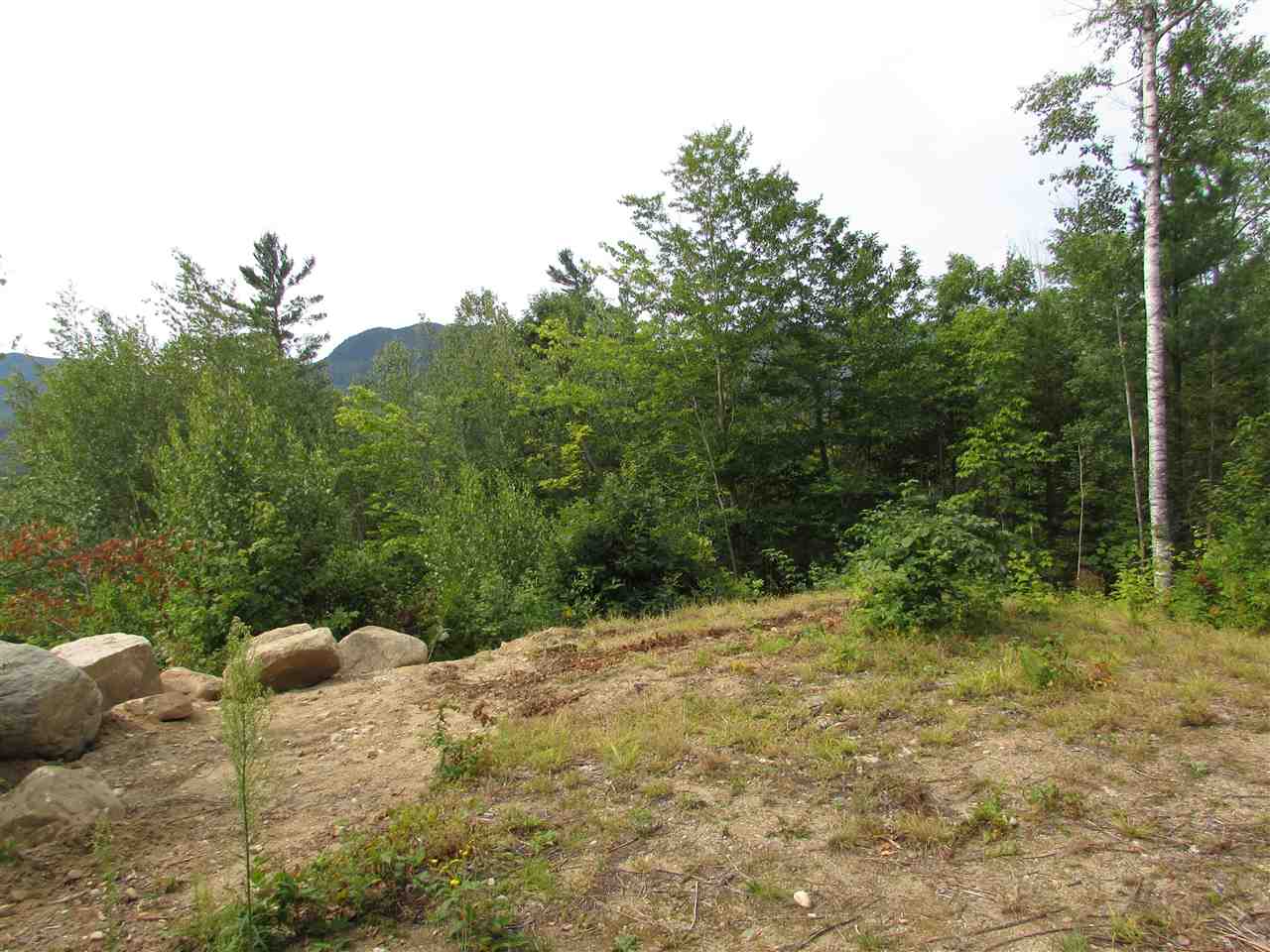47 Parker Ridge Road Bartlett, NH 03838 - Photo 5 of 6