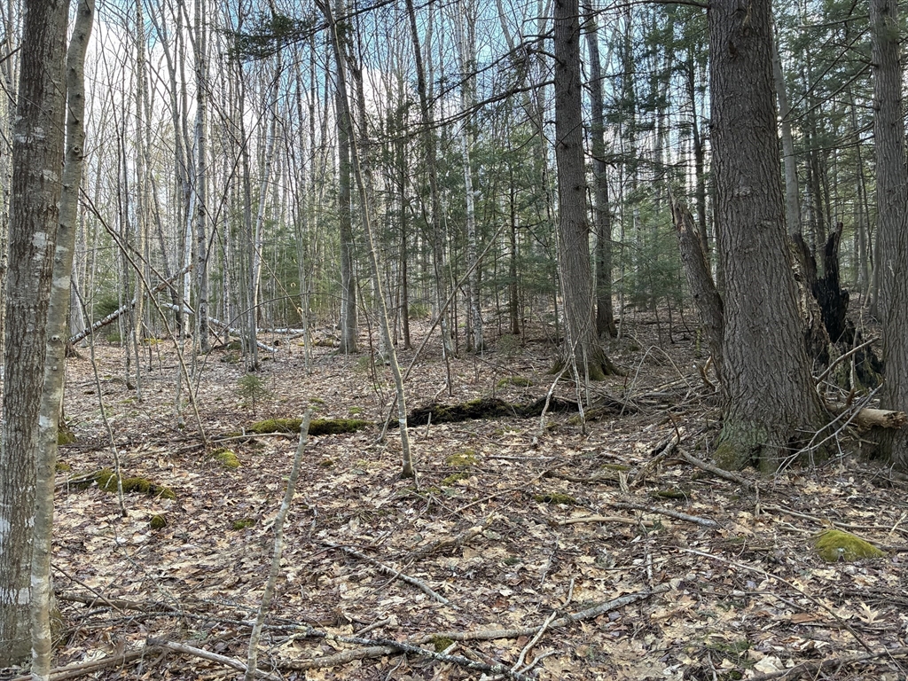 2 Leshures Road Rowe, MA 01367 - Photo 12 of 14