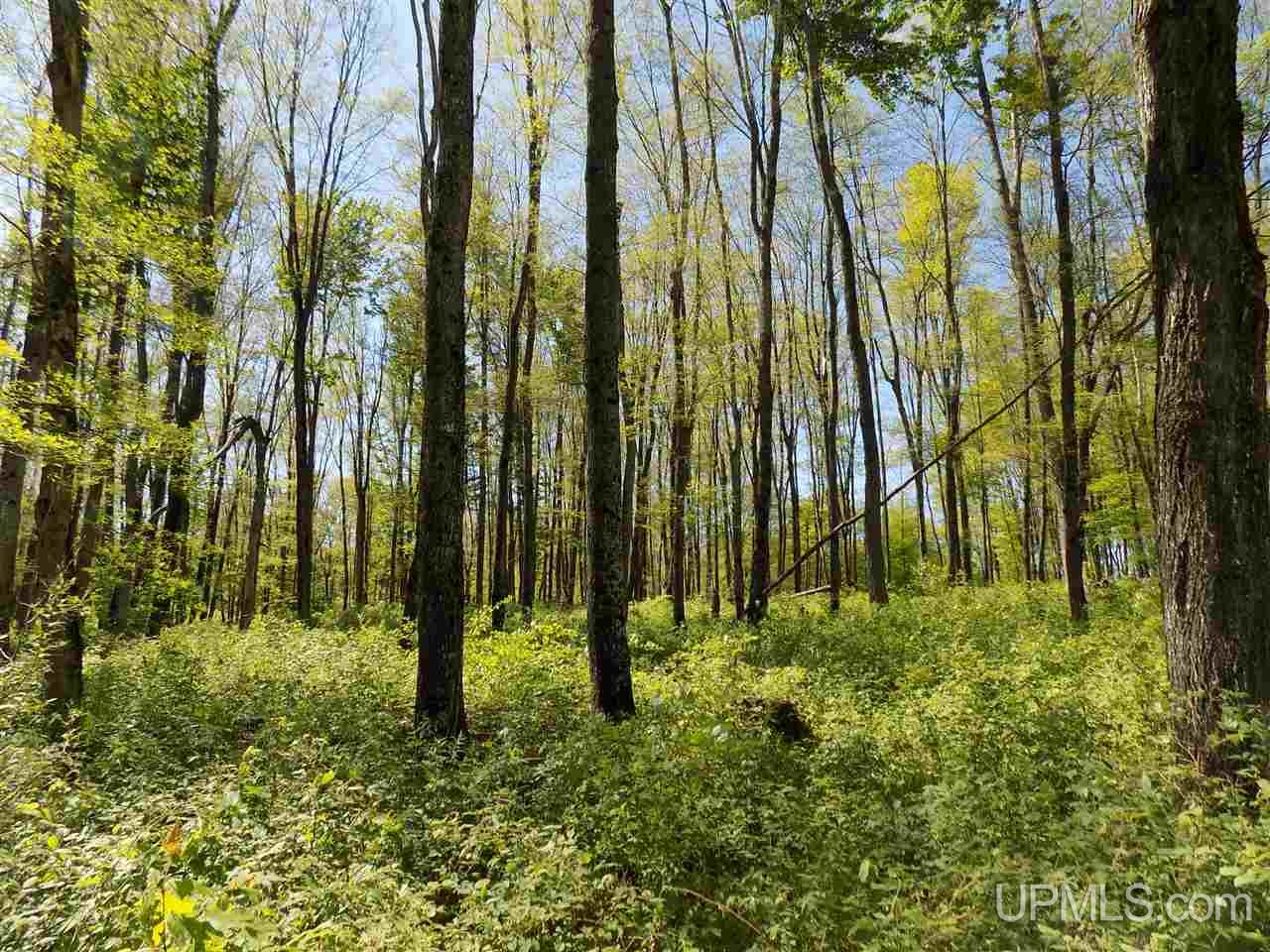 Tbd 160 Acres Camp 23 Road Gulliver, MI 49840 - Photo 7 of 48