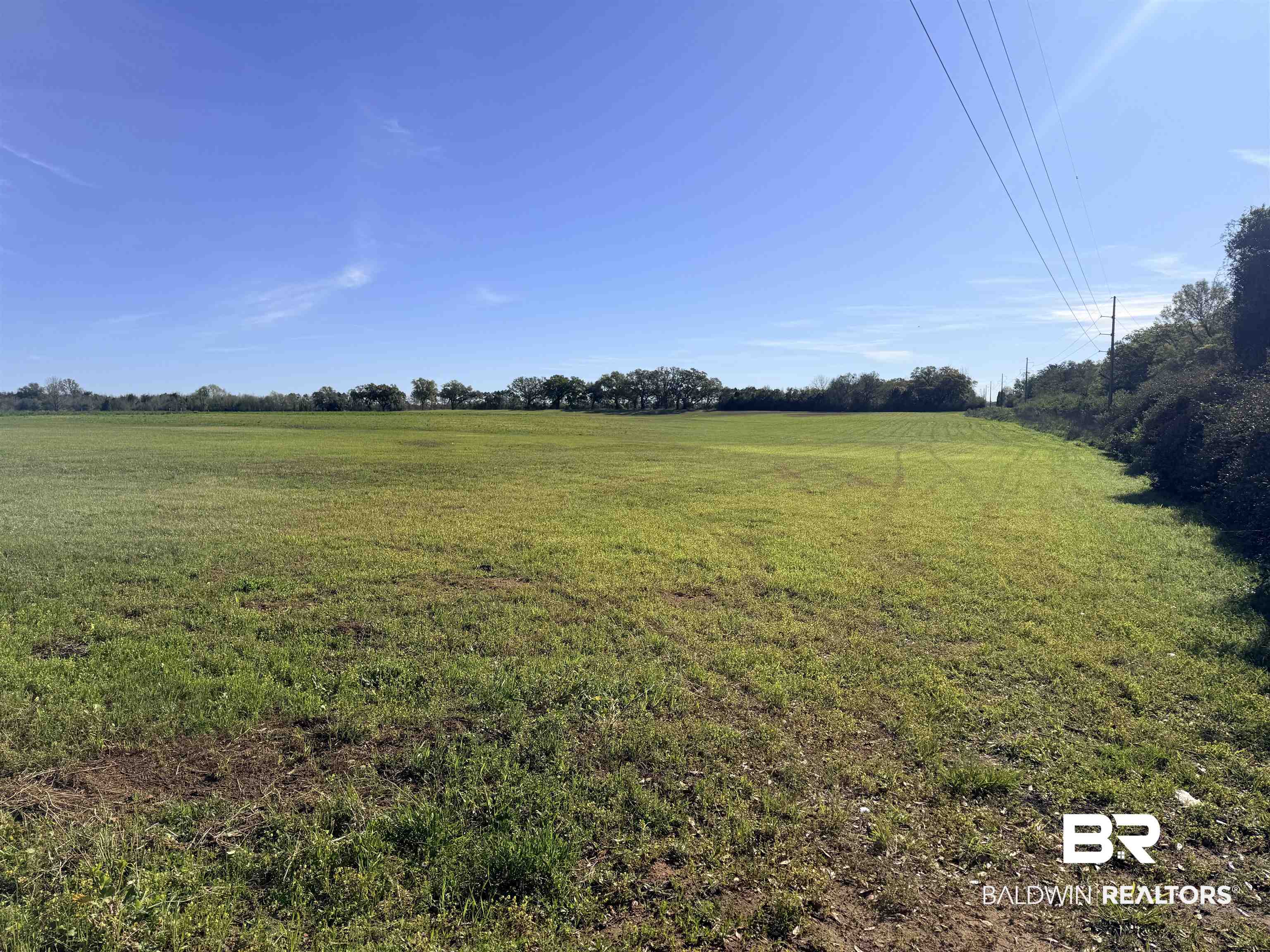0 Weeks Road Foley, AL 36535 - Photo 2 of 4 Gallery Image 2