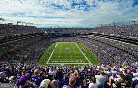 3010 Frayser Farm Road Hanover, MD 21076 - Photo 18 of 30 FOOTBALL ANYONE - GO RAVENS!!!