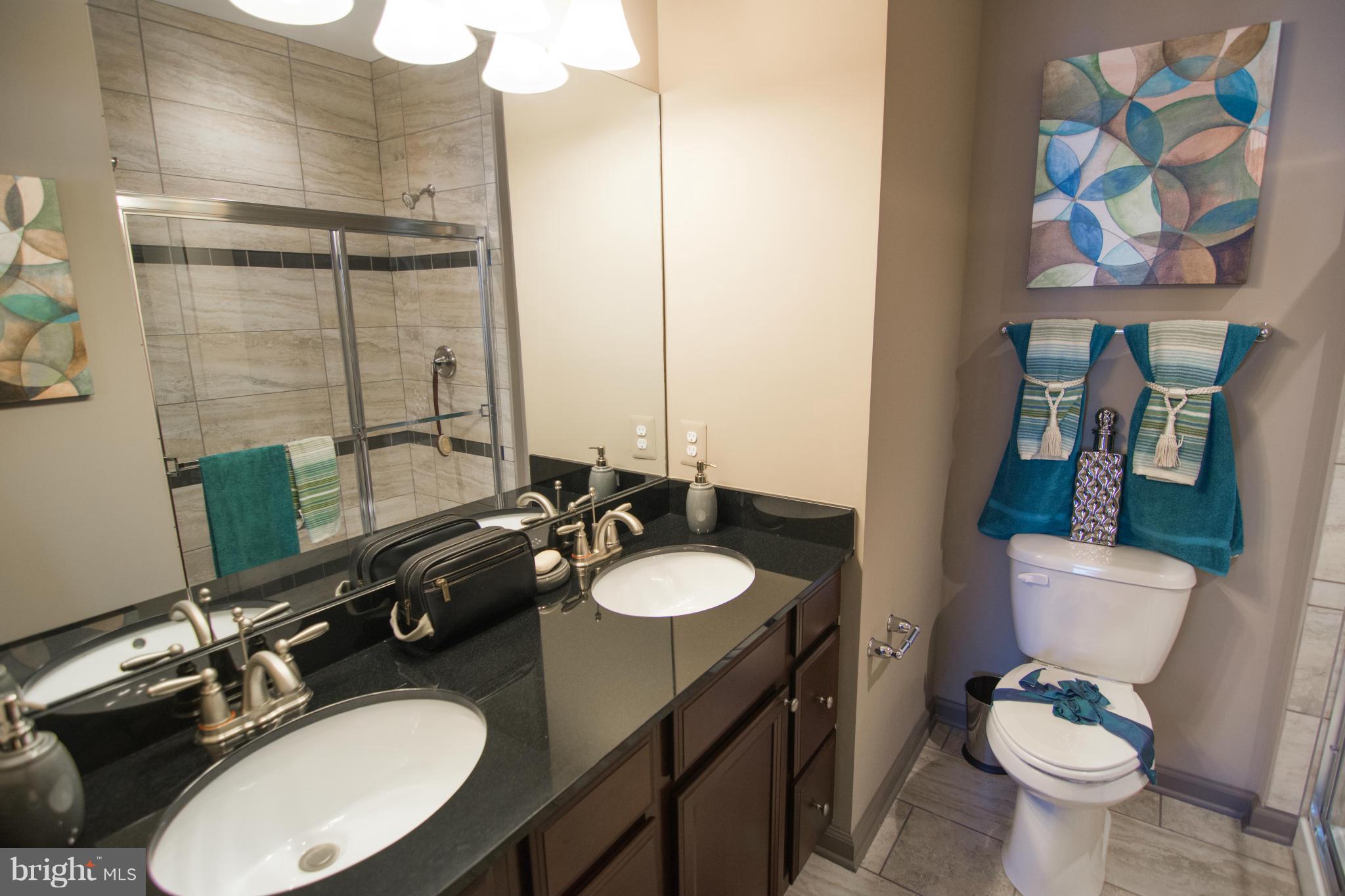 3010 Frayser Farm Road Hanover, MD 21076 - Photo 6 of 30 LUXURY OWNERS BATHROOM