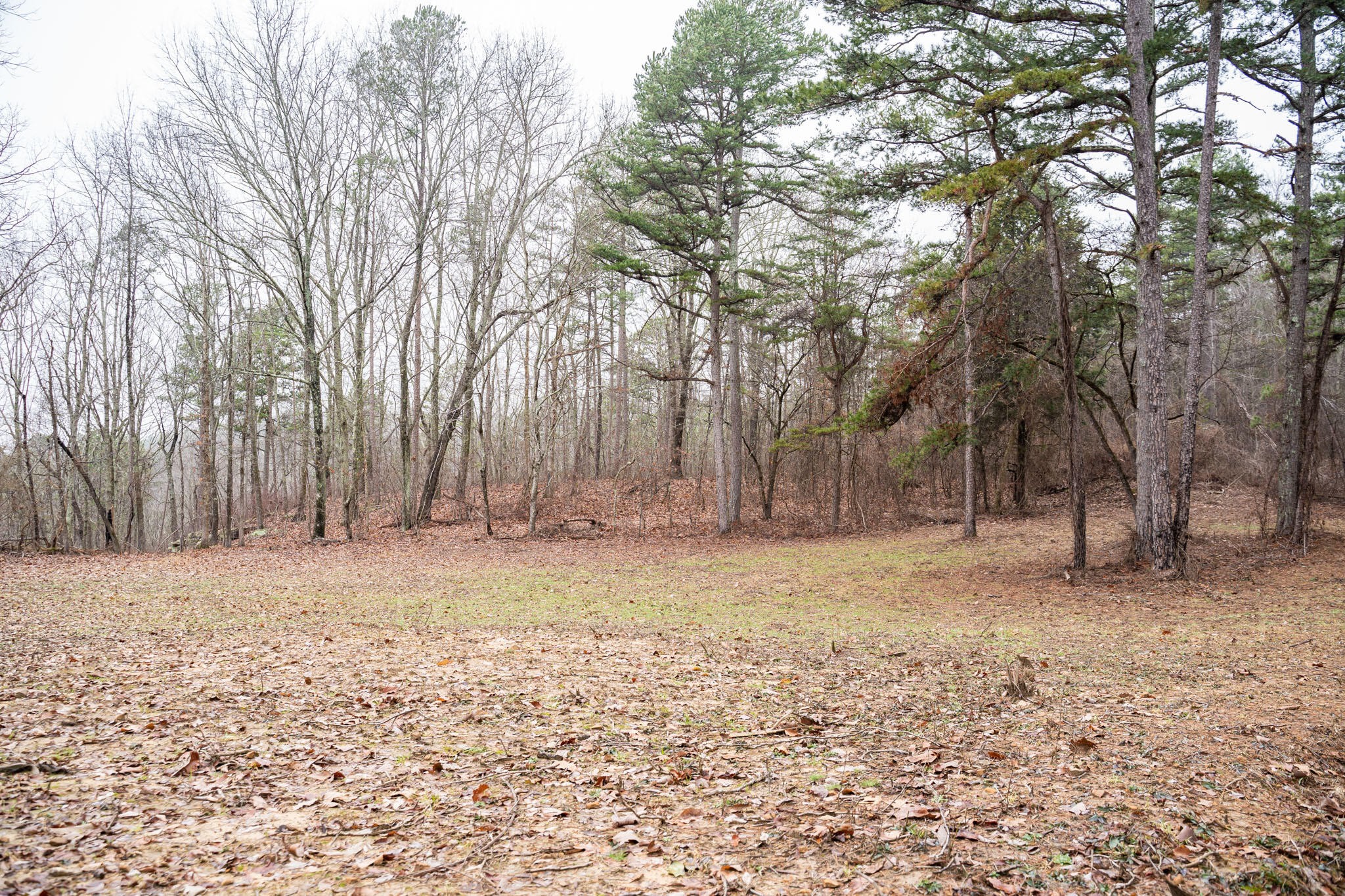 0 Leiderman Road Trenton, GA 30752 - Photo 29 of 50