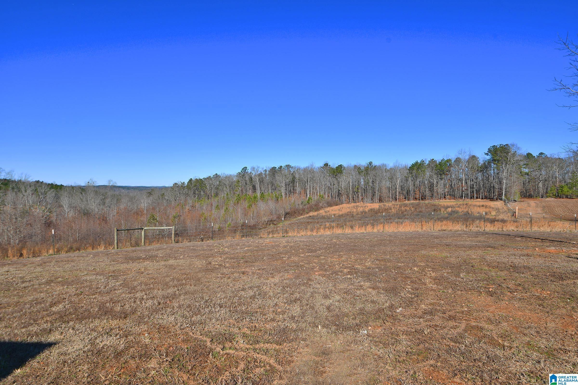 1442 Bluff Valley Road Cragford, AL 36255 - Photo 4 of 66