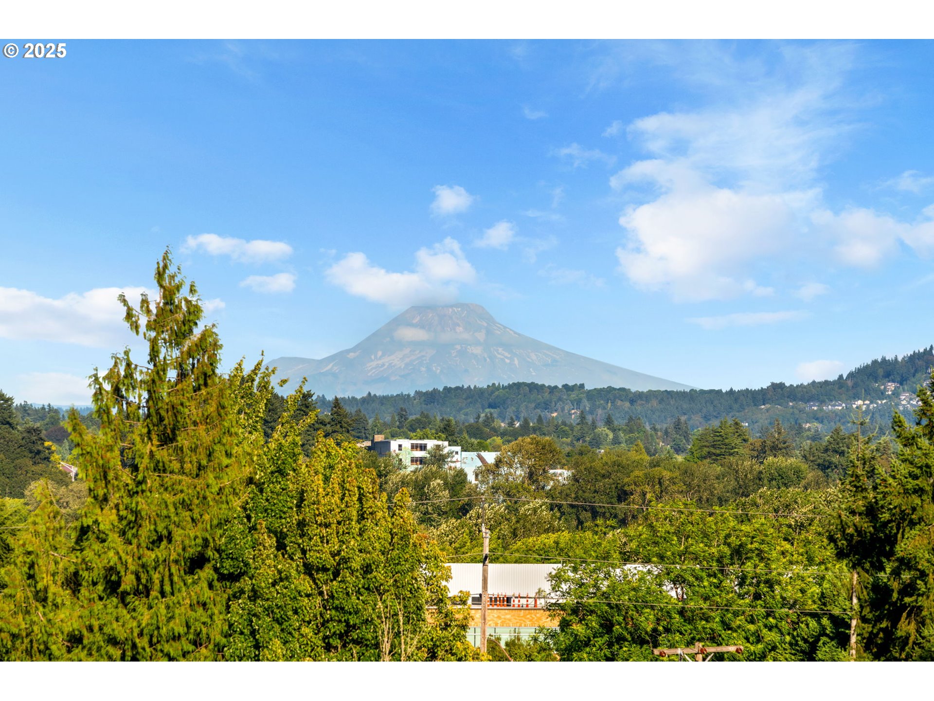 207 South Nebraska Street Portland, OR 97239 - Photo 4 of 47 Exterior