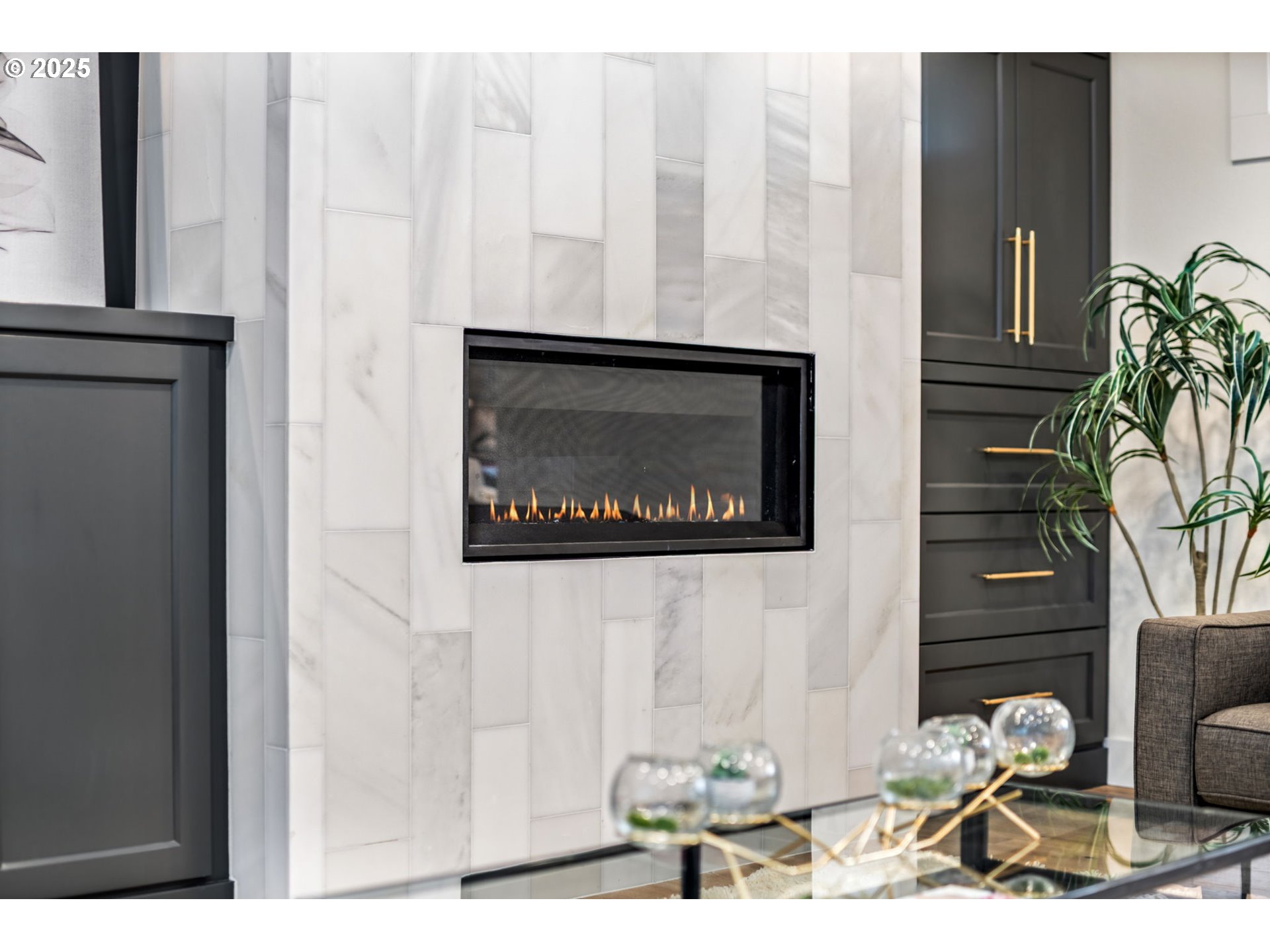 207 South Nebraska Street Portland, OR 97239 - Photo 8 of 47 Fireplace Gas